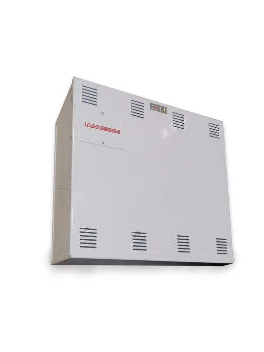 Emergency Lighting Large Power Inverter 375W/600W